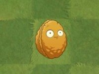 植物大战僵尸亚马逊8.1.0