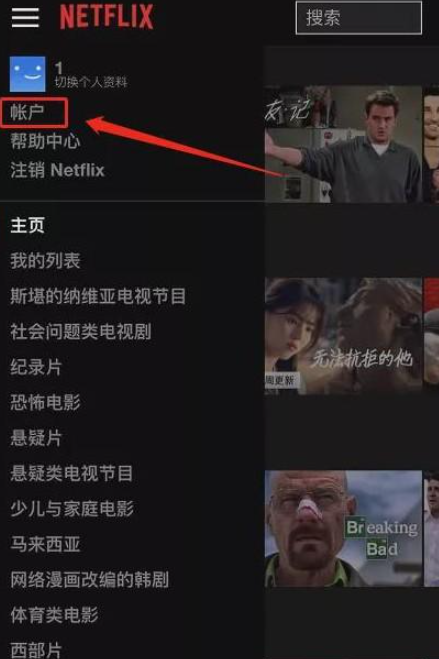 netflix安卓
