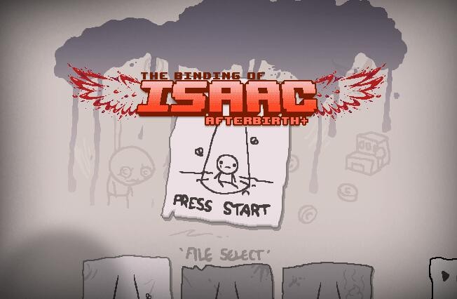 以撒的结合胎衣