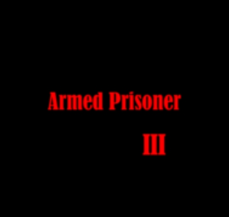武装囚犯3