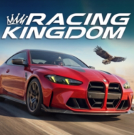 赛车王国国际服