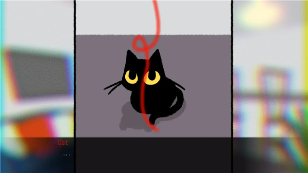 别带这只猫回家