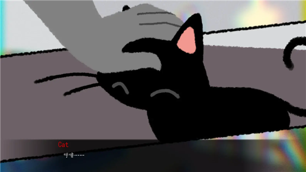 别带这只猫回家