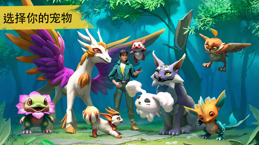 角色和宠物一起战斗