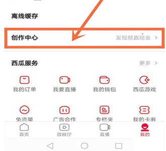 西瓜视频极速版
