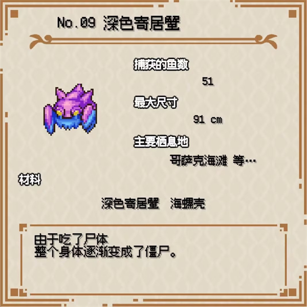 海洋幻想