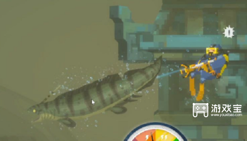 潜水员戴夫海鳝怎么抓