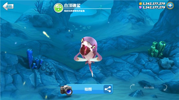 HungrySharkworld国际版截图5
