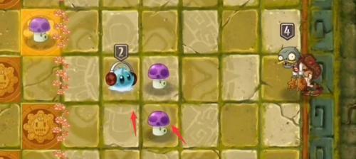 植物大战僵尸2失落之城