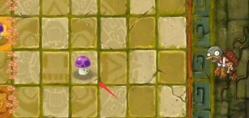 植物大战僵尸2失落之城