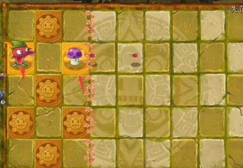 植物大战僵尸2失落之城