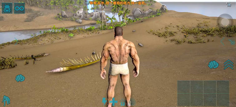 方舟生存进化2正版