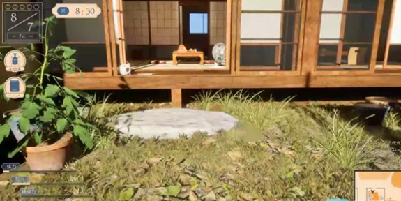 夏姐我恋爱的30天