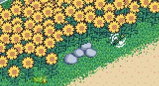 寻找夏日的宝物