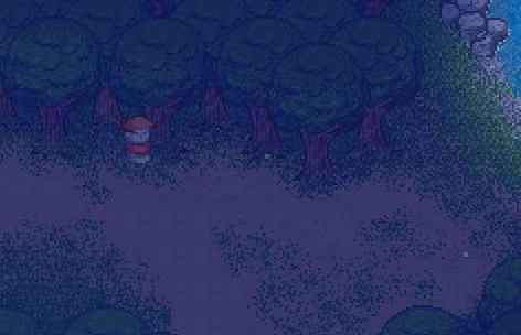 寻找夏日的宝物