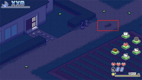 寻找夏日的宝物