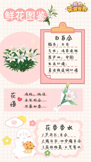 我的花园世界港台服