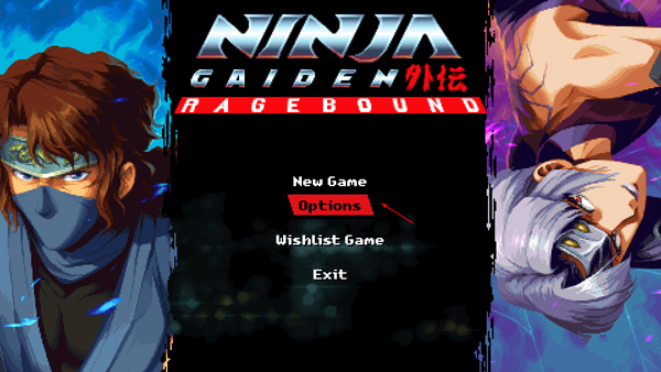 忍者龙剑传外传怒之羁绊