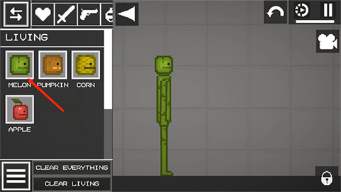 甜瓜游乐场英文版