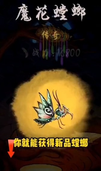 极品螳螂内置菜单