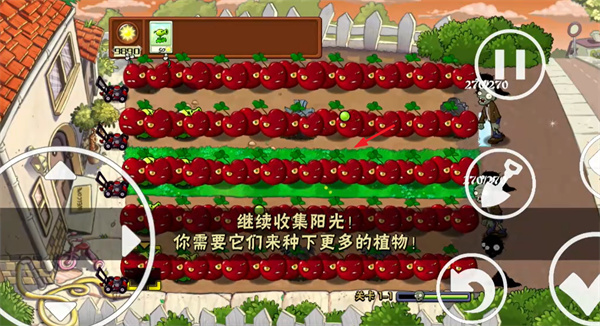 植物大战僵尸C支线版