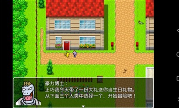 口袋人类冷狐版