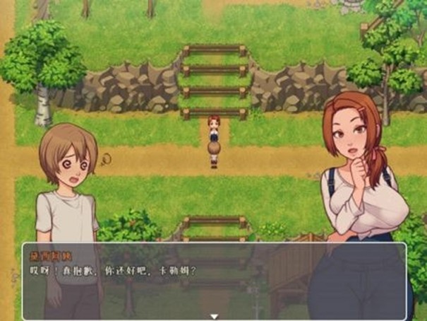 我的乡村日常生活完整版截图3