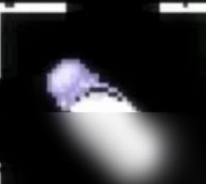 放课后的捉迷藏