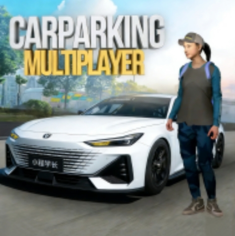 手动挡停车场菲亚特面包车模组