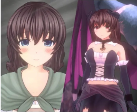 圣骑士莉卡物语