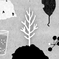 her trees puzzle dream