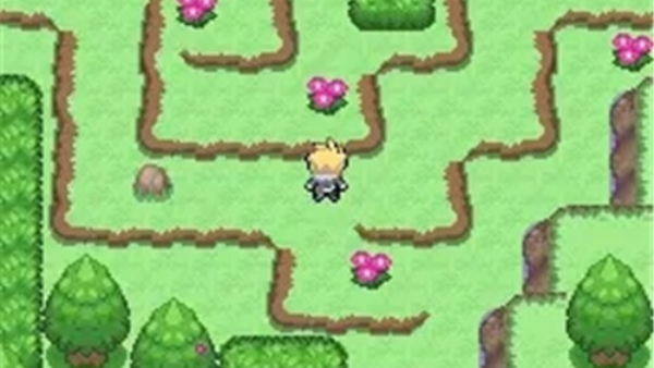 口袋妖怪忆梦之巅创世章截图1