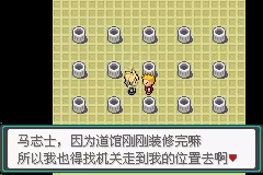 口袋妖怪忆梦之巅创世章