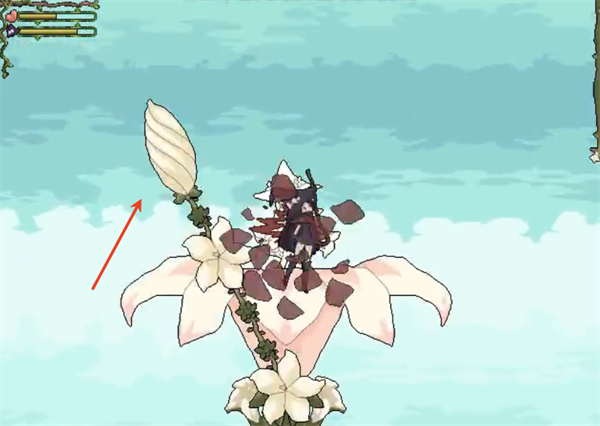 花之魔女Flowerwitch