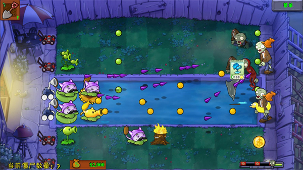 植物大战僵尸花园嘉年华