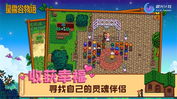 星露谷物语原版手机版截图5