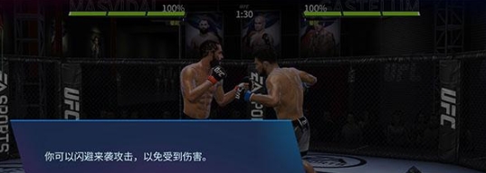 UFC终极格斗冠军2