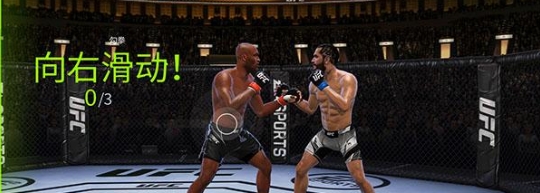 UFC终极格斗冠军2