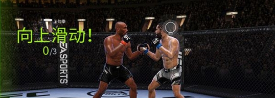 UFC终极格斗冠军2