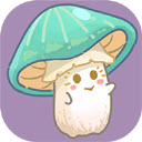 菌软软的装修手账