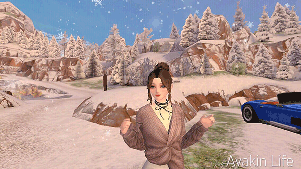 Avakin虚拟世界国际服