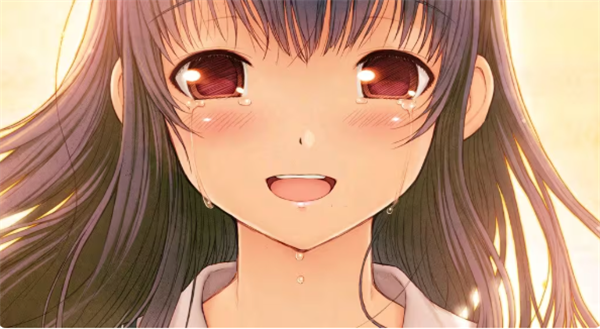 君与彼女与彼女之恋