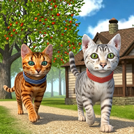 猫咪的奇妙生活