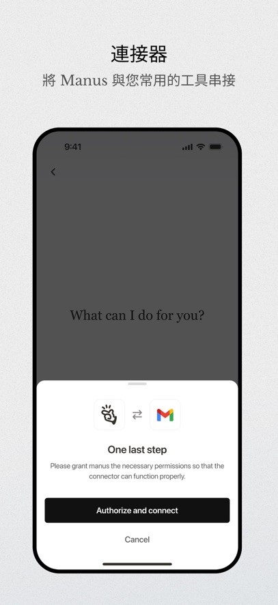 Manus截图3