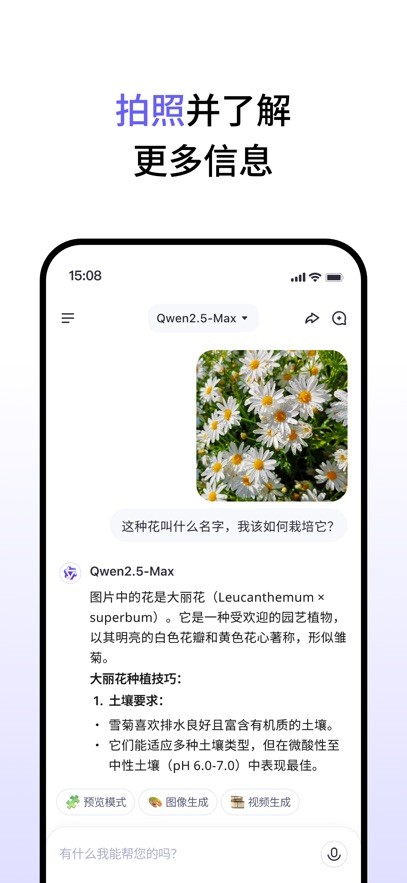 Qwen Chat截图3