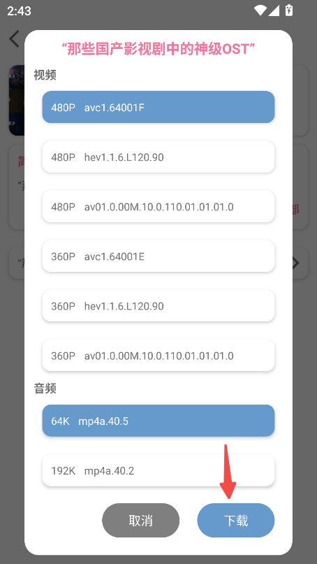 BVD下载器