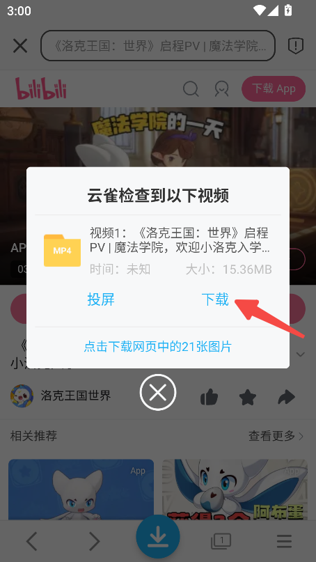 视频下载鸟