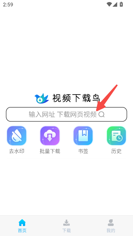 视频下载鸟