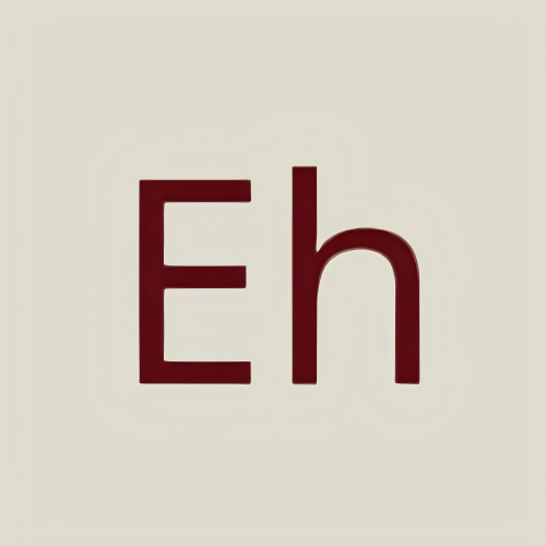 e站