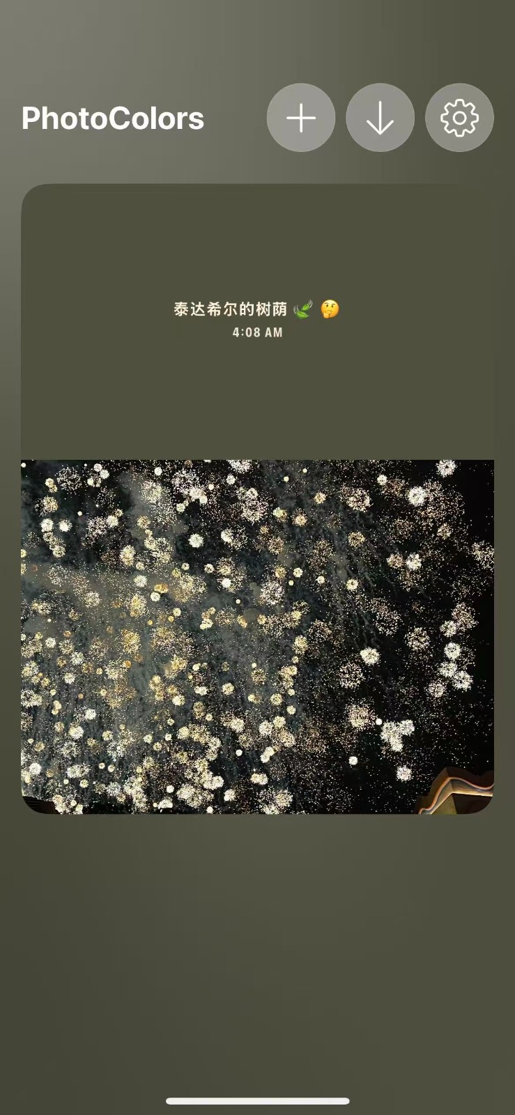 PhotoColors调色盘截图5